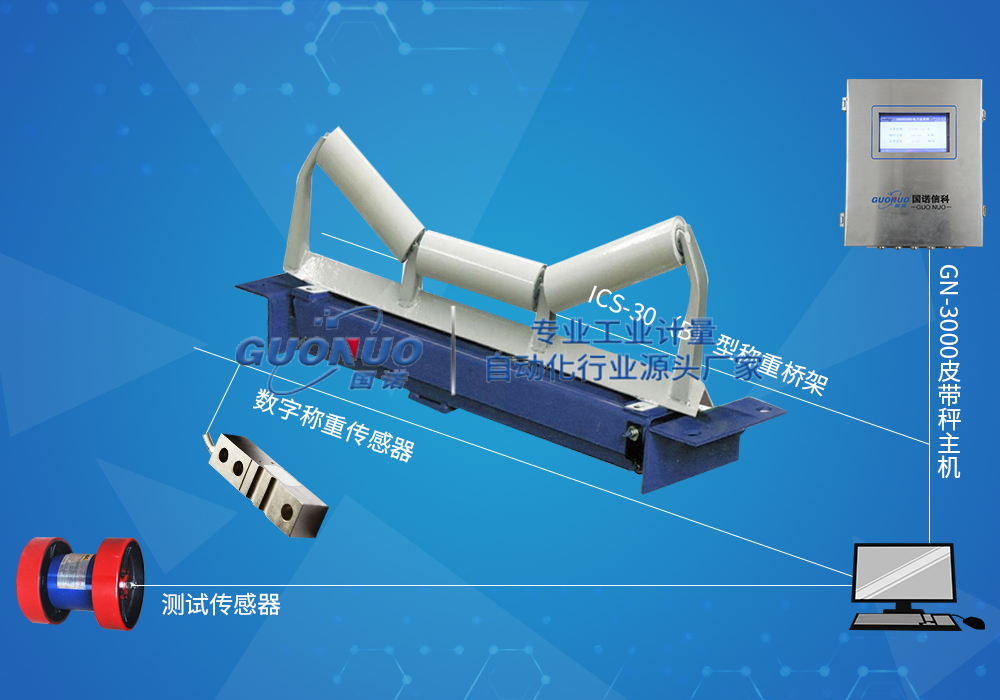ICS-30电子皮带秤