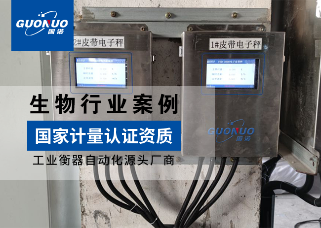 安琪酵母(柳州)皮带秤项目