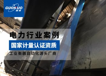 发电项目皮带秤案例