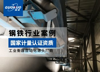 广西阵列秤案例